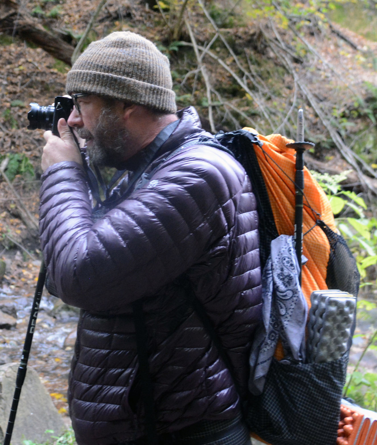 Gillie on Parfrey's Glen trail